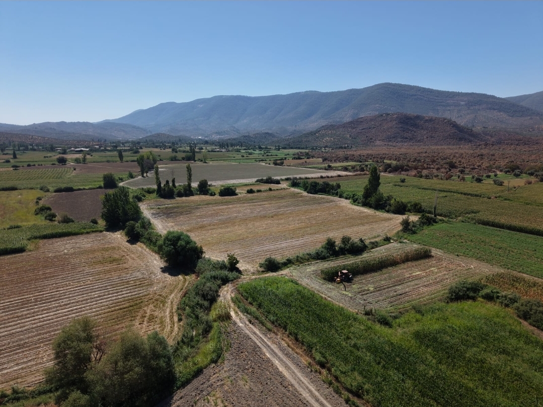 Muğla Milas Bafa Gölü’ne Yakın 22 Dönüm Satılık Tarla (Sondajlı, 2 Parsel)